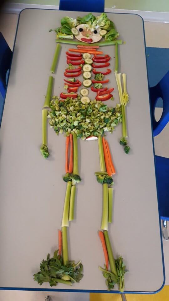 Skeleton made out of vegetables