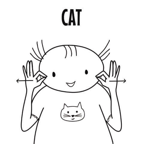 Cat in Sign Language