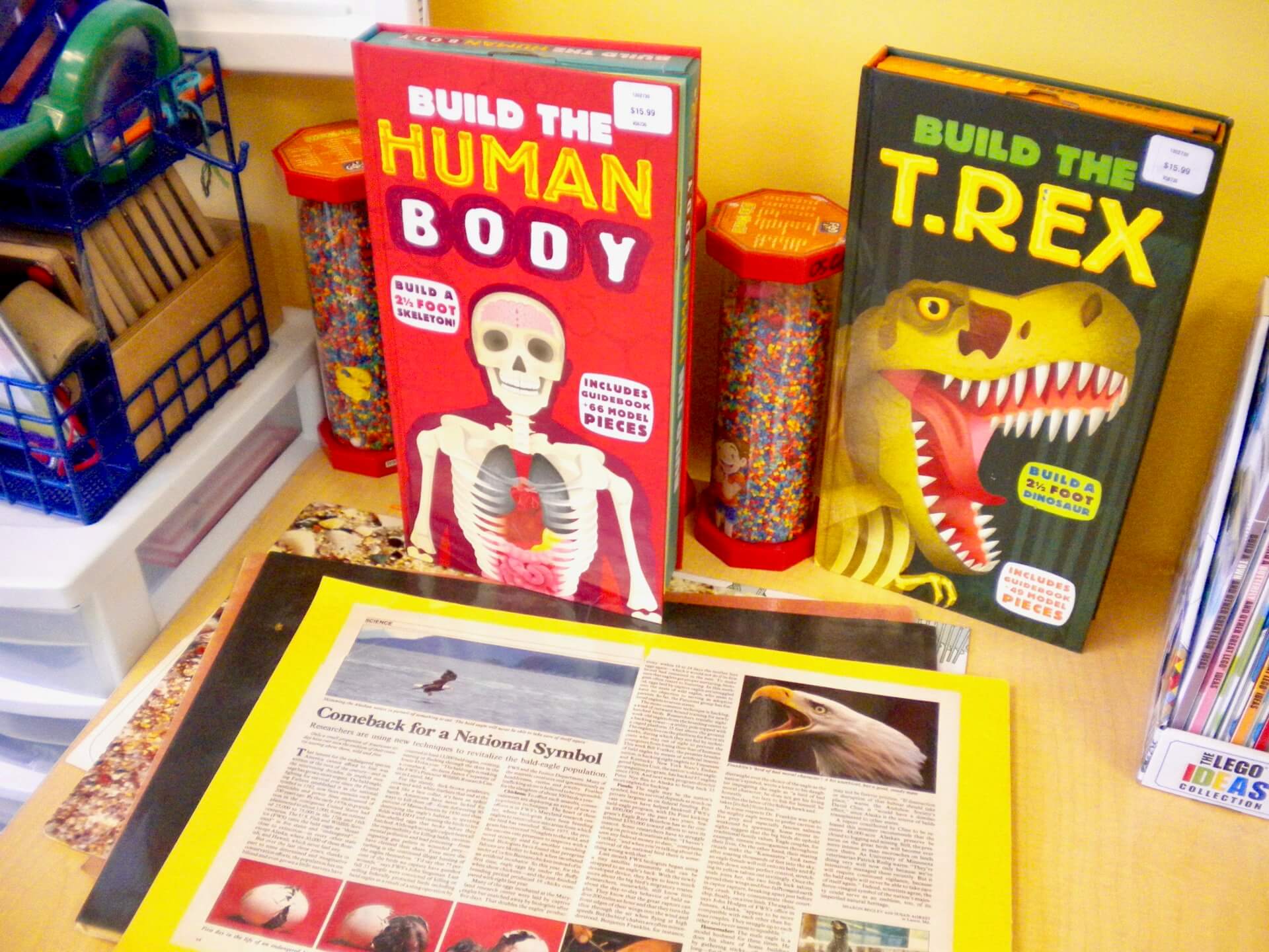 Kids & Company Ellerslie Child Care Kids & Company