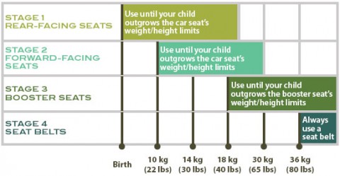 car seat chart