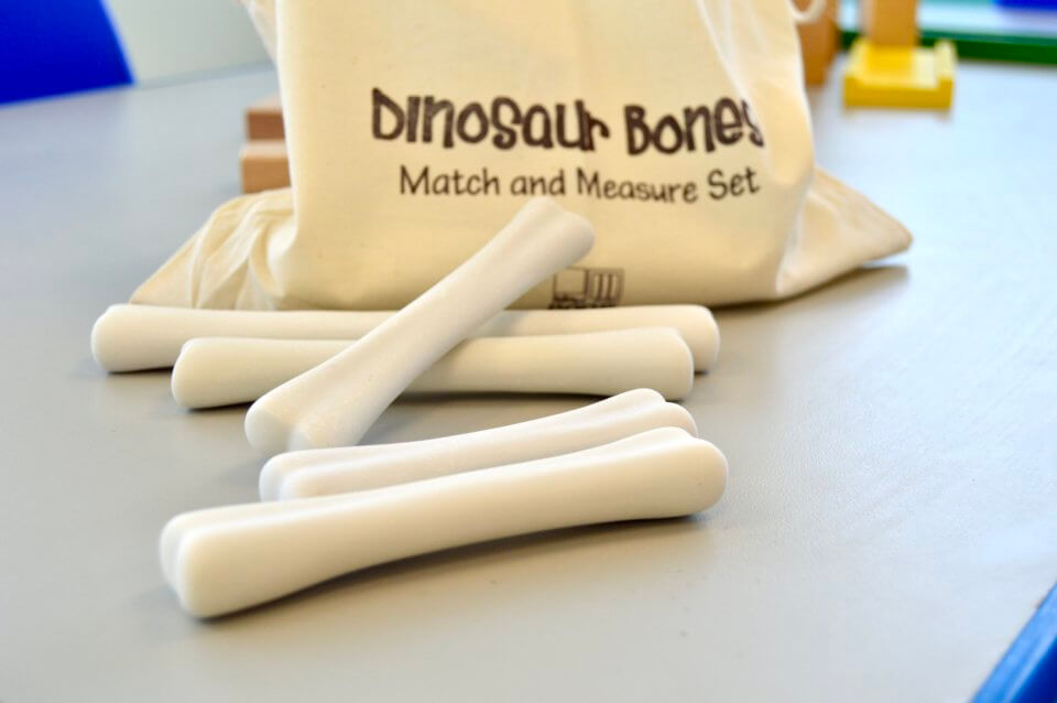 Dinosaur Bones Toys for early childhood education
