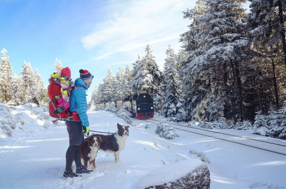 Family winter walk with two dogs